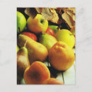 Suche nach grüne trauben postkarten Obst