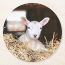 Suche nach cute untersetzer Young animal