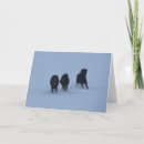 Suche nach isländisch karten Schnee