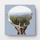 Suche nach tiere fotoplatten Landschaft