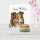 Suche nach sheltie karten Generativer inhalt