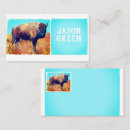 Suche nach amerikanischer bison visitenkarten Tiere