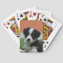 Suche nach sprache spiele spiele spielkarten Grenzkollie