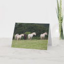 Suche nach ponys karten Pferde