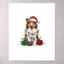 Suche nach rough collie poster Welpe