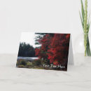 Suche nach baum fotokarten Für sie