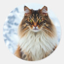 Suche nach maine coon aufkleber Haustier
