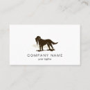 Suche nach jagdhund visitenkarten Haustier