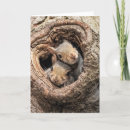 Suche nach zwei tiere karten Wald