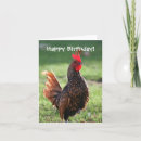 Suche nach huhn geburtstag karten Vogelvogel