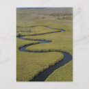 Suche nach okavango postkarten Fluss
