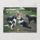 Suche nach grillen party einladung karten Urlaub