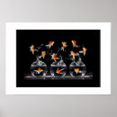 Suche nach goldfisch poster Foto