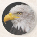 Suche nach adler untersetzer Power