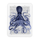 Suche nach kraken magnete Albern