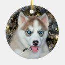 Suche nach brauner und weißer hund ornamente Weihnachten