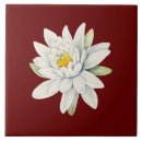 Suche nach weiße lilie fliesen Pflanze