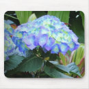 Suche nach blaue blumen mousepads Botanisch