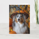 Suche nach sheltie karten Shetland sheepdog
