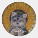 Suche nach yorkie aufkleber Geburtstag