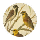 Suche nach baum schneidebrettchen Vogel