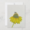 Suche nach coneflower Pfeife