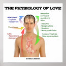 Suche nach physiologie poster Medizin