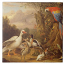 Suche nach papagei macaw fliesen Papageien