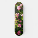 Suche nach garten skaten Rosa