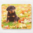 Suche nach rottweiler hund mousepads Schwarz