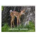 Suche nach für sommer kalender Blume