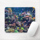 Suche nach malediven mousepads Landschaft