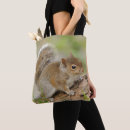 Suche nach eichhörnchen tote bags Fotografie