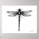 Suche nach lustige insekten poster Für sie