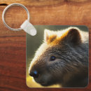 Suche nach wombat schlüsselanhänger Tier