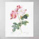 Suche nach rose kunst Elegant