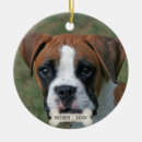 Suche nach boxerhunde ornamente Süß