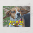 Suche nach beagles postkarten Lustig