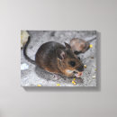 Suche nach mäuse leinwandbilder Maus