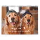 Suche nach lustige zitate kalender Niedlich