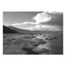 Suche nach vining lee Mono lake