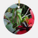Suche nach grünes insekt ornamente Wanzen