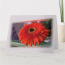 Suche nach heller hintergrund karten Blume