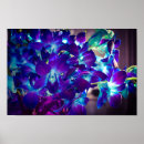 Suche nach lila orchidee poster Blau