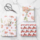 Suche nach marienkäfer geschenkpapier Liebeskäfer