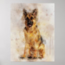 Suche nach schäferhund poster Aquarell