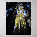 Suche nach humboldt poster Staat