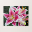 Suche nach orientalisch puzzle Natur