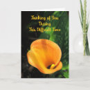 Suche nach calla karten Trauer