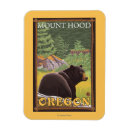 Suche nach schwarzer bär magnete Wald